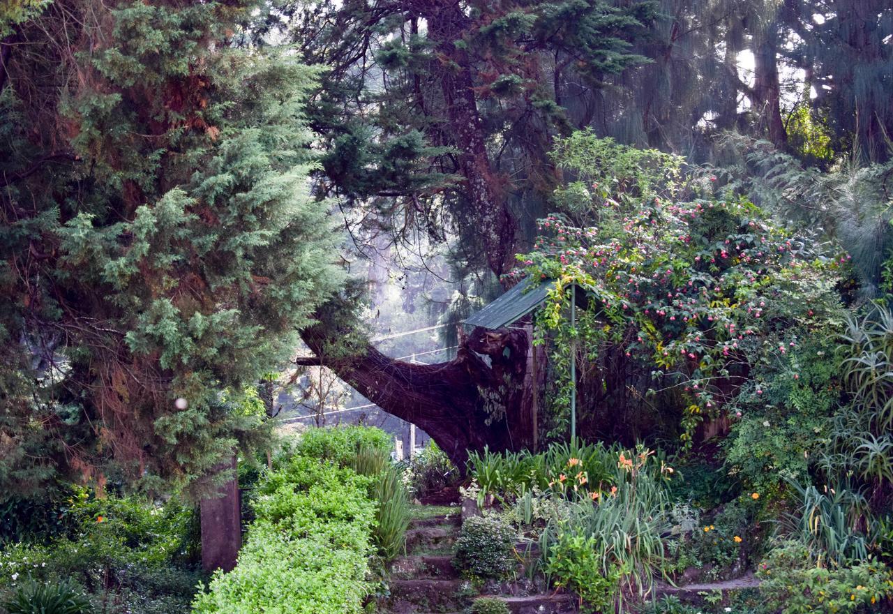 Mount Mary Inn Nuwara Eliya Extérieur photo