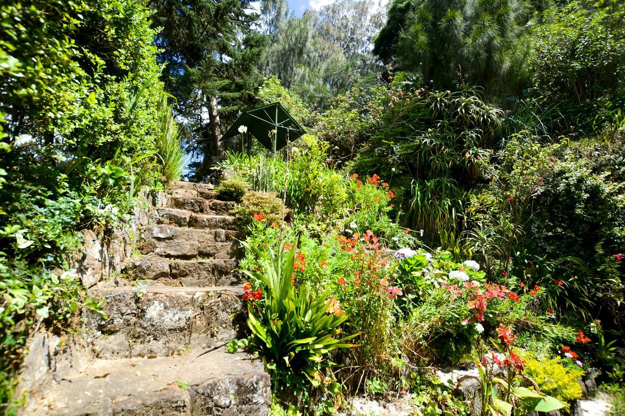 Mount Mary Inn Nuwara Eliya Extérieur photo
